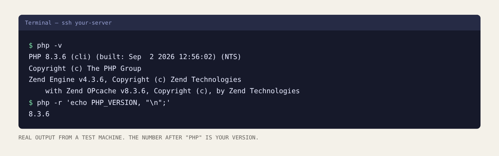 Terminal showing the output of php -v.